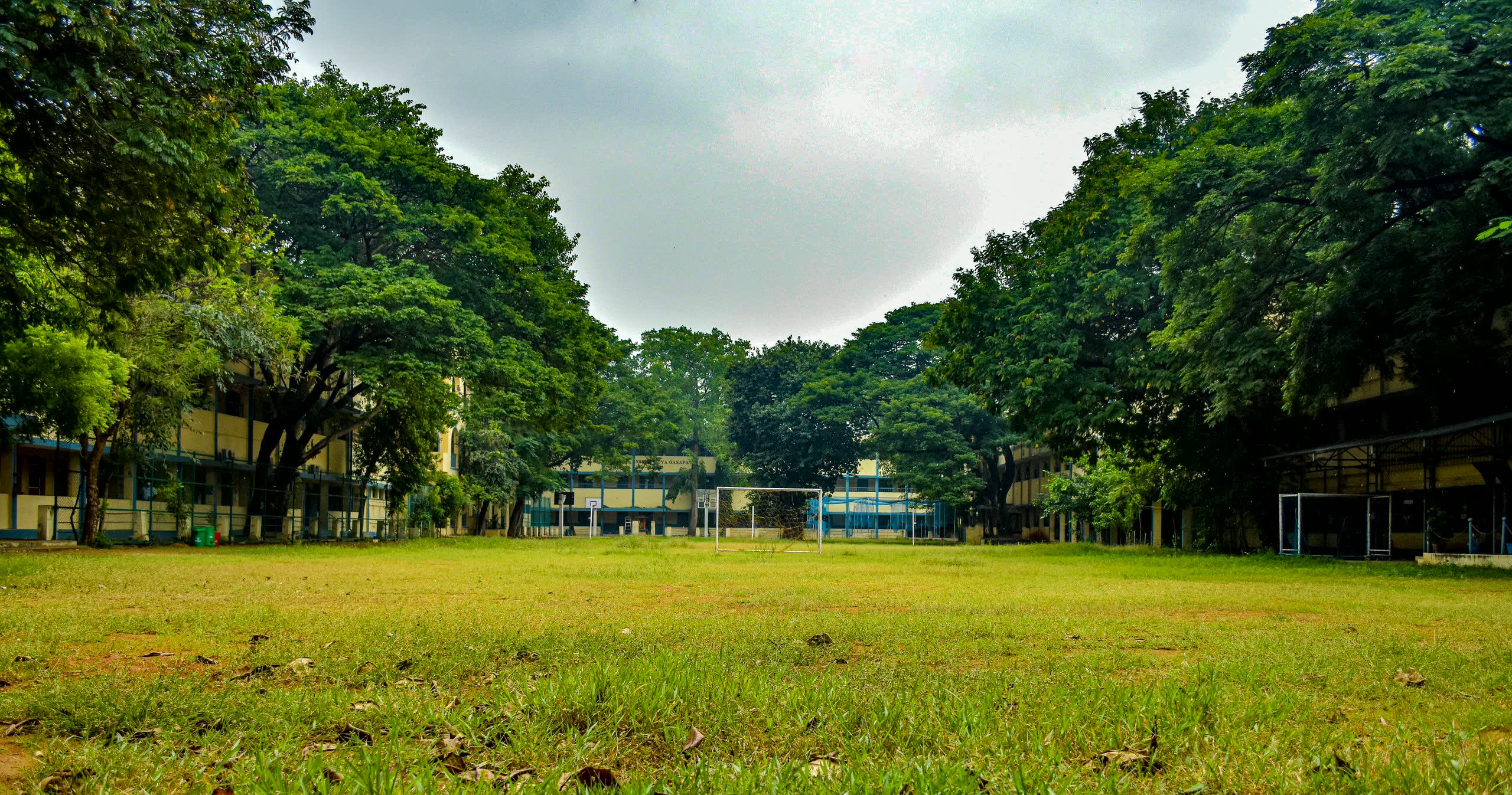 The school playground framed by tall shady trees, with the school buildings beyond
